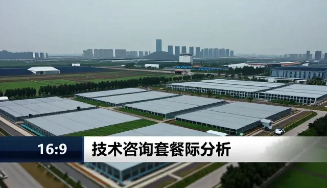 技术咨询套餐选型中的关键考量因素分析